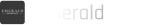 Client logo 6